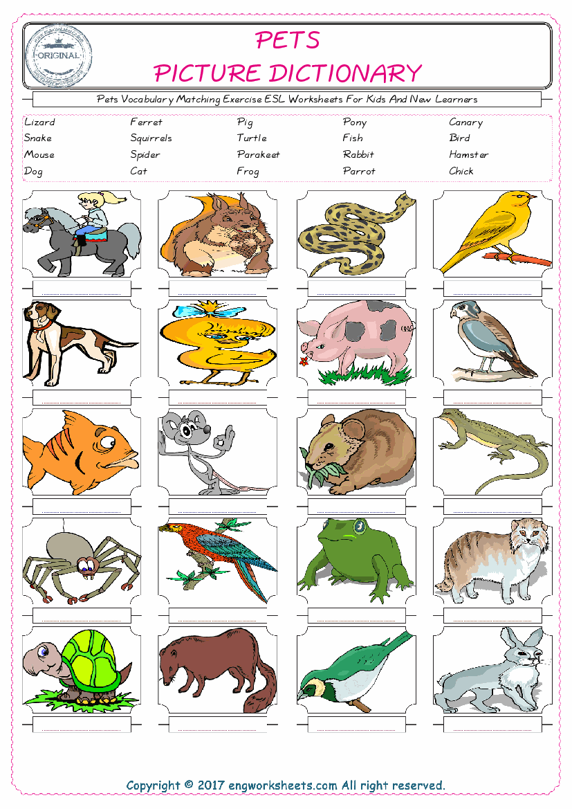  Pets for Kids ESL Word Matching English Exercise Worksheet. 